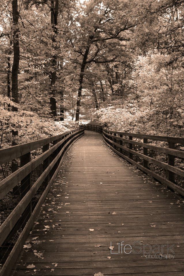 LIFEsparkphotography.com